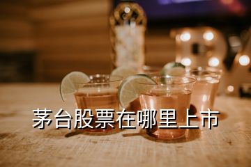 茅台股票在哪里上市