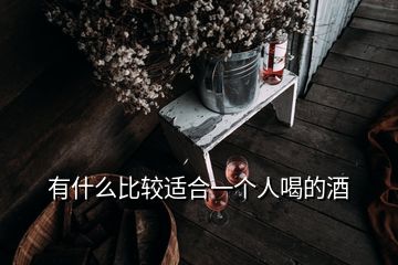 有什么比较适合一个人喝的酒