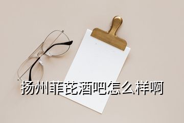 扬州菲芘酒吧怎么样啊