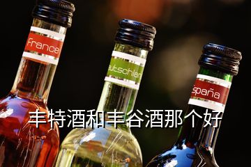 丰特酒和丰谷酒那个好