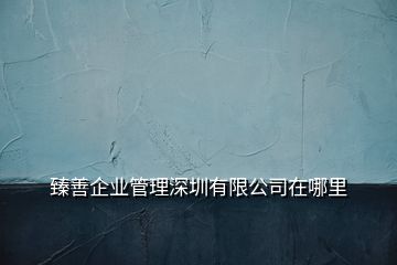 臻善企业管理深圳有限公司在哪里