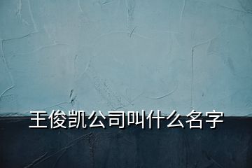 王俊凯公司叫什么名字