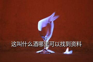 这叫什么酒哪里可以找到资料