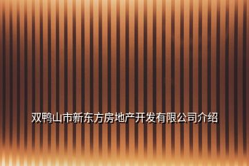 双鸭山市新东方房地产开发有限公司介绍