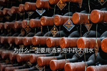 为什么一定要用酒来泡中药不用水