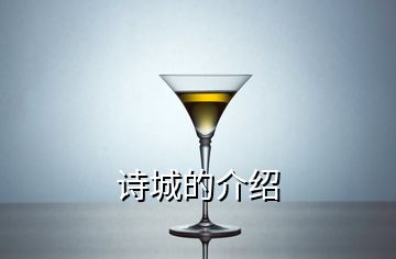 诗城的介绍