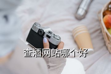 查酒网站哪个好