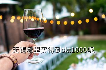 无锡哪里买得到skt1000呢