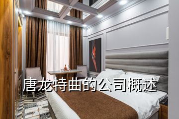 唐龙特曲的公司概述