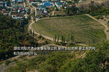 湖南浏阳河酒业发展有限公司 是什么公司啊 是正规的吗 和浏阳河有什么