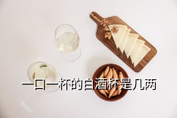 一口一杯的白酒杯是几两