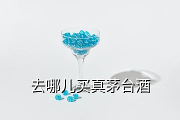 去哪儿买真茅台酒