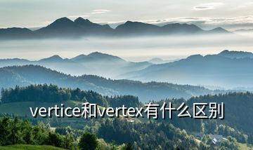 vertice和vertex有什么区别