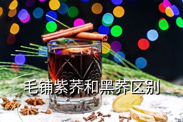 毛铺紫荞和黑荞区别