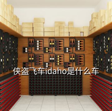 侠盗飞车idaho是什么车