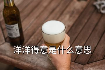 洋洋得意是什么意思