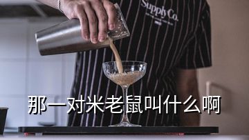 那一对米老鼠叫什么啊