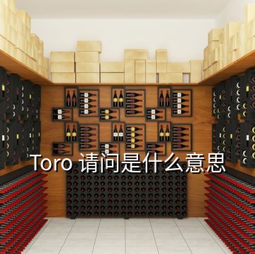 Toro 请问是什么意思