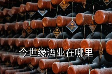 今世缘酒业在哪里