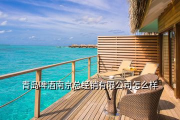 青岛啤酒南京总经销有限公司怎么样