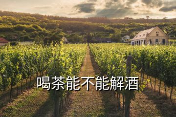 喝茶能不能解酒