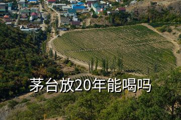 茅台放20年能喝吗