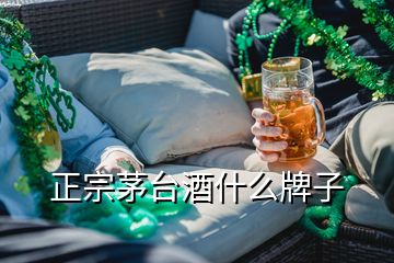 正宗茅台酒什么牌子