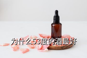 为什么53度的酒最好