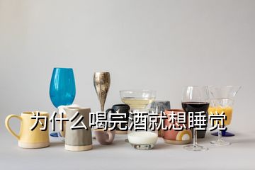 为什么喝完酒就想睡觉