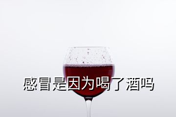 感冒是因为喝了酒吗