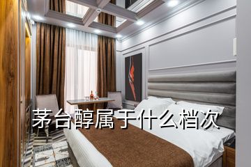 茅台醇属于什么档次