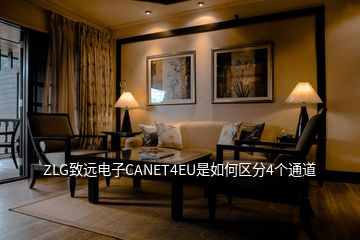 ZLG致远电子CANET4EU是如何区分4个通道