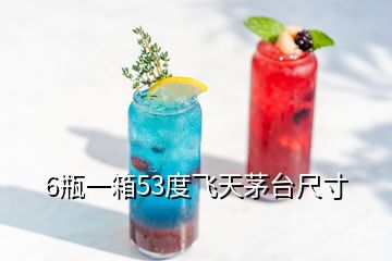 6瓶一箱53度飞天茅台尺寸