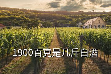 1900百克是几斤白酒