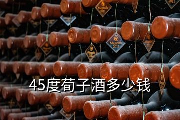 45度荀子酒多少钱