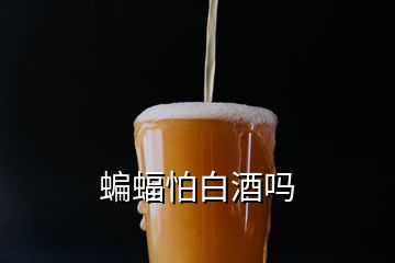 蝙蝠怕白酒吗