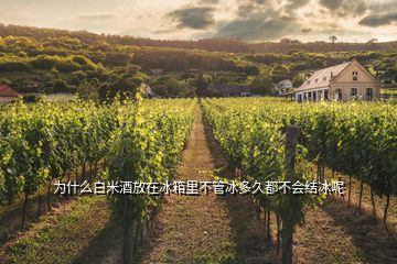 为什么白米酒放在冰箱里不管冰多久都不会结冰呢