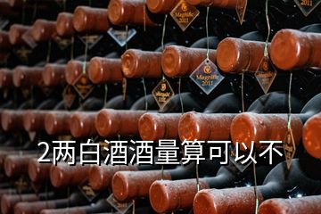 2两白酒酒量算可以不