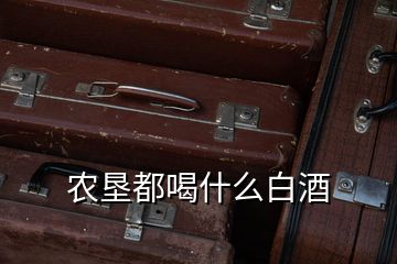 农垦都喝什么白酒