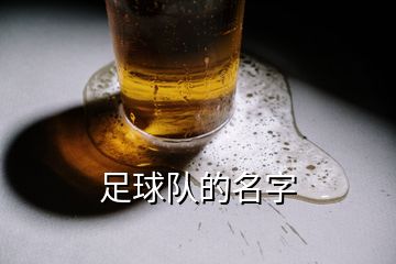 足球队的名字