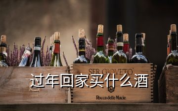 过年回家买什么酒