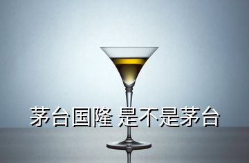 茅台国隆 是不是茅台