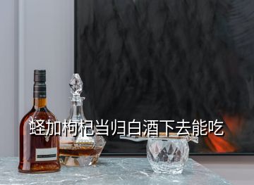 蛏加枸杞当归白酒下去能吃