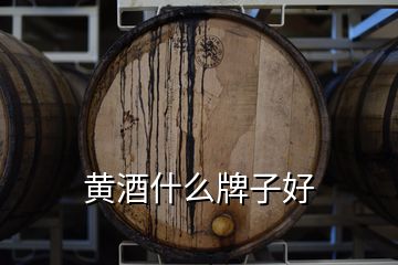 黄酒什么牌子好