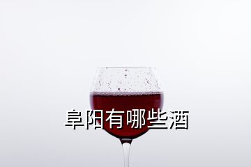 阜阳有哪些酒