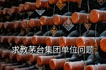 求教茅台集团单位问题