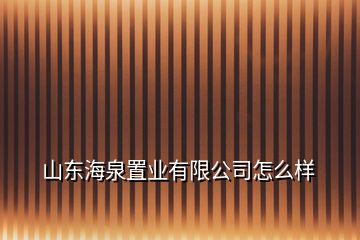 山东海泉置业有限公司怎么样