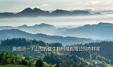 麻烦问一下山东百盛生物科技有限公司咋样呢