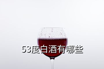 53度白酒有哪些