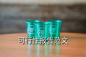 可行性报告范文